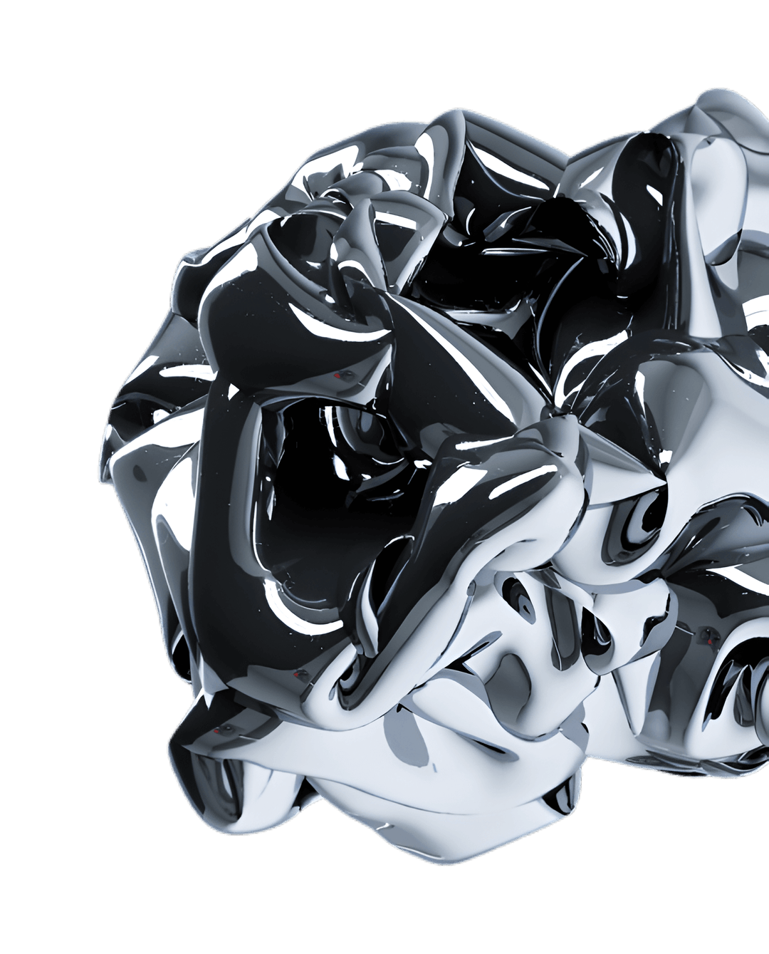 Elevate Your Digital Collection